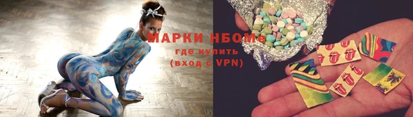 гашик Дмитриев