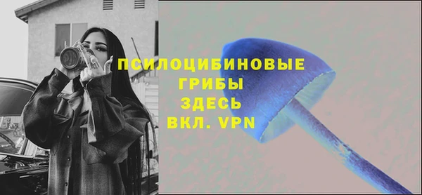 гашик Дмитриев