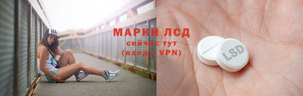 гашик Дмитриев