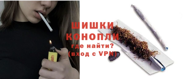 гашик Дмитриев