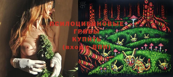 2c-b Дмитров