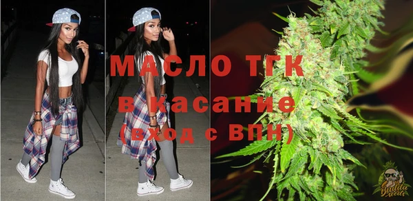 гашик Дмитриев