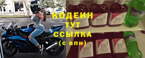 гашик Дмитриев