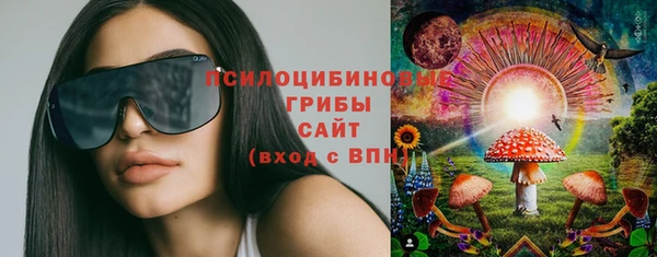 2c-b Дмитров
