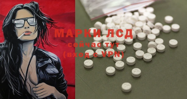 гашик Дмитриев